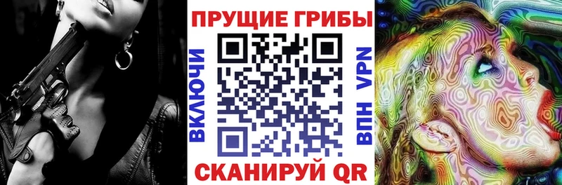 OMG рабочий сайт  Сунжа  Псилоцибиновые грибы мицелий 