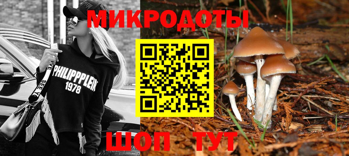 Галлюциногенные грибы ЛСД  Вход с VPN  Псилоцибиновые грибы Cubensis  Сунжа 