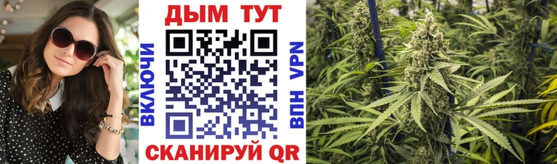 darknet телеграм  Сунжа  Бошки Шишки White Widow 